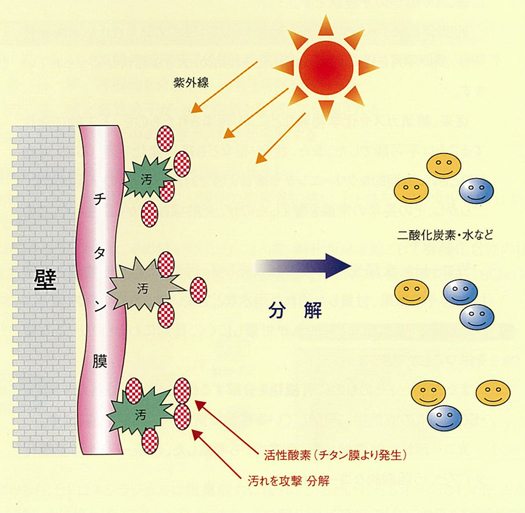 分解機能とその効果